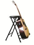 Farleys Stageplayer II Guitar Stool