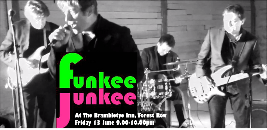 FunkeeJunkee at Brambletye